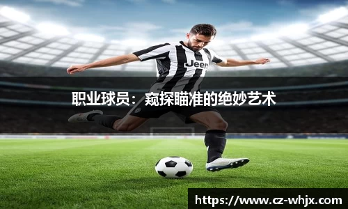 职业球员：窥探瞄准的绝妙艺术
